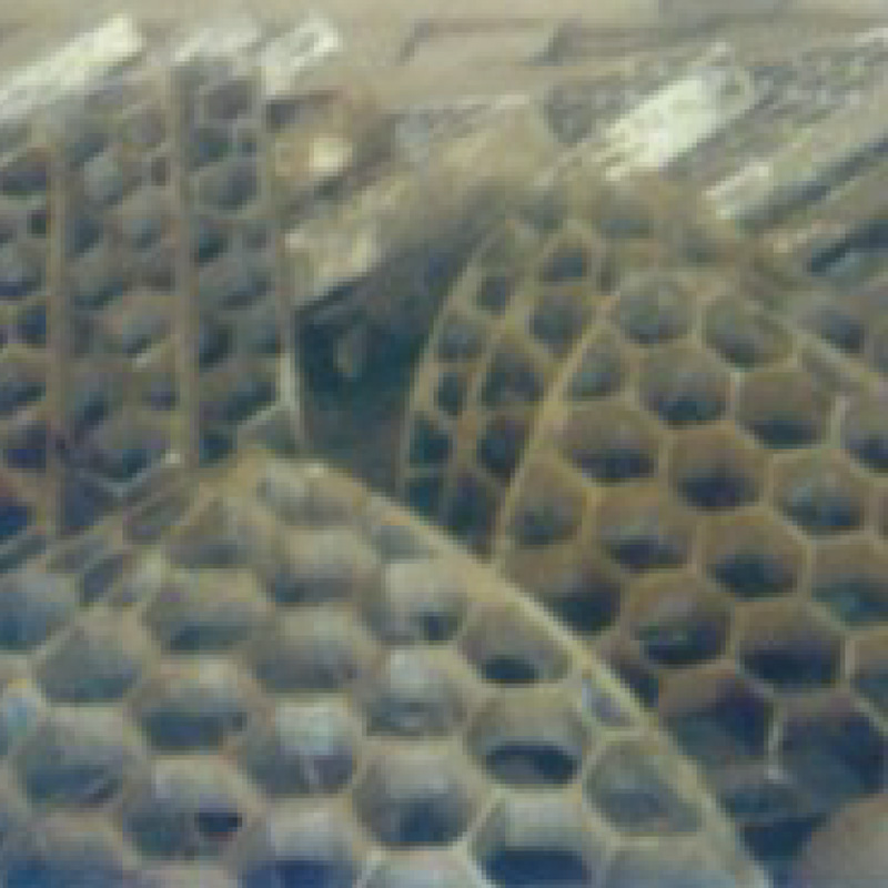 Сотовые панели